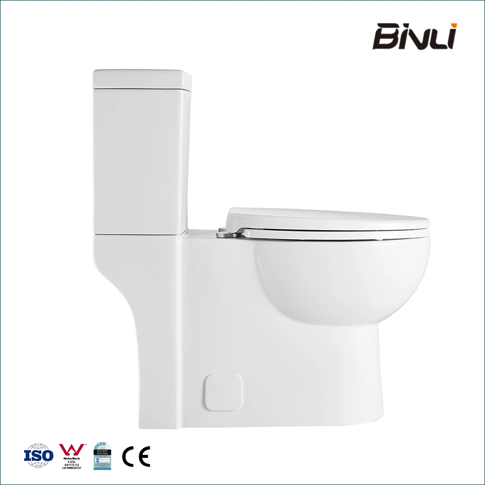 Factory White Color Gravity Flushing Short Projection Round Shape Ceramic Wc Sanitary Ware S Trap Two Piece Toilet Suite